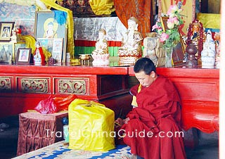 A lama in Dazhao Temple